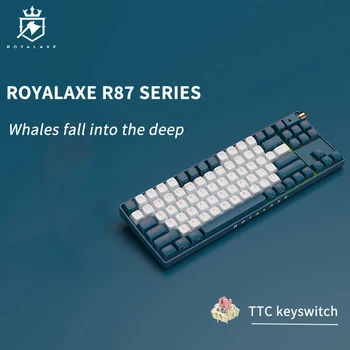 Royalaxe R87 Механическая клавиатура с возможностью горячей замены с RGB Подсветкой NKRO Type-C Кабель для оптического переключателя Win/Mac Gateron Teclado