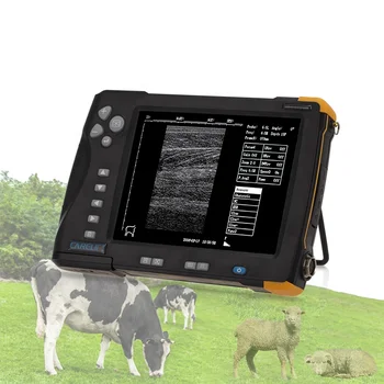 Портативный ультразвуковой аппарат Ректальный зонд Прочный Ветеринарный ультразвук для использования в ветеринарии коров Овец с 7 зондами